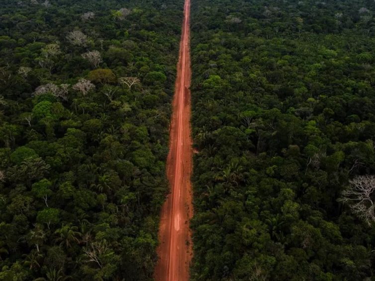 🇧🇷 Au Brésil, Lula renforce la protection de la forêt amazonienne (Le Monde / AFP)