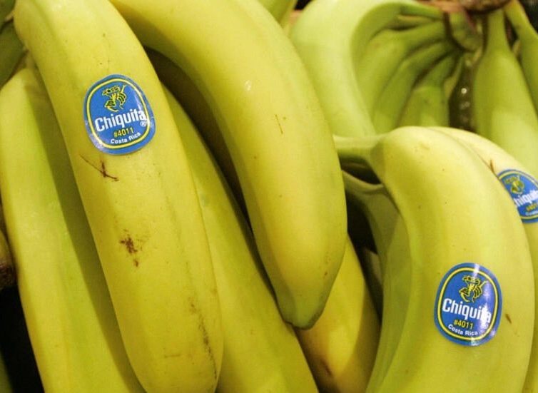 🇨🇴 🇺🇸 La multinationale Chiquita jugée responsable du financement de paramilitaires colombiens (France 24 / AFP)